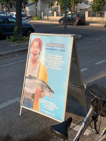 Tommy Ittica Gastropescheria e Cruderia